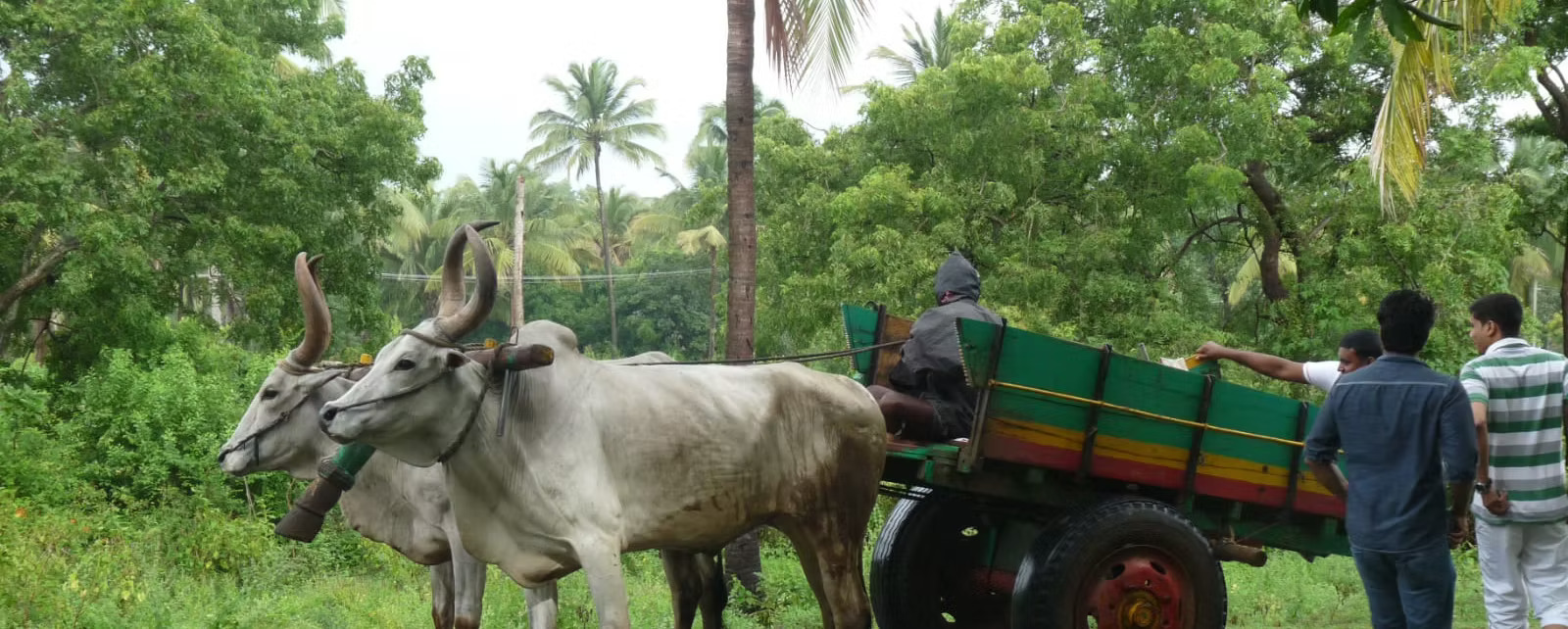 Sradha Farm Stay
