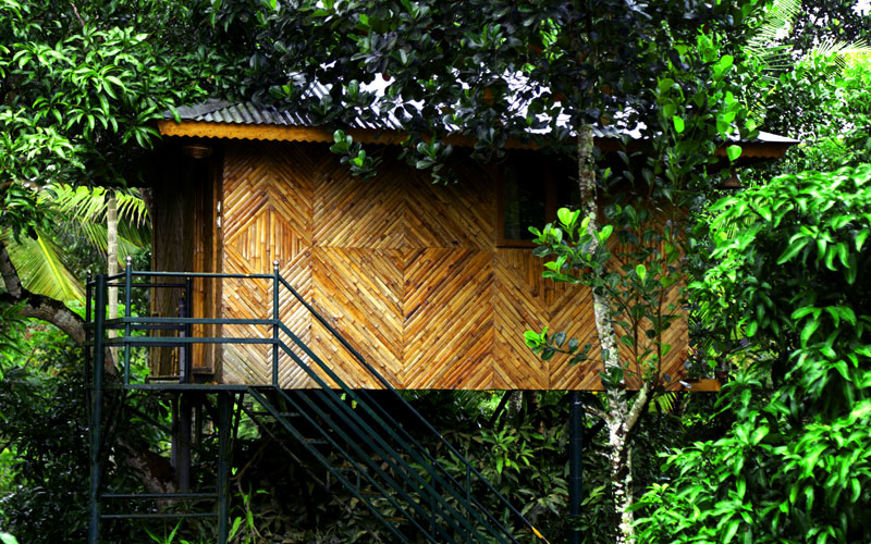 Tree House