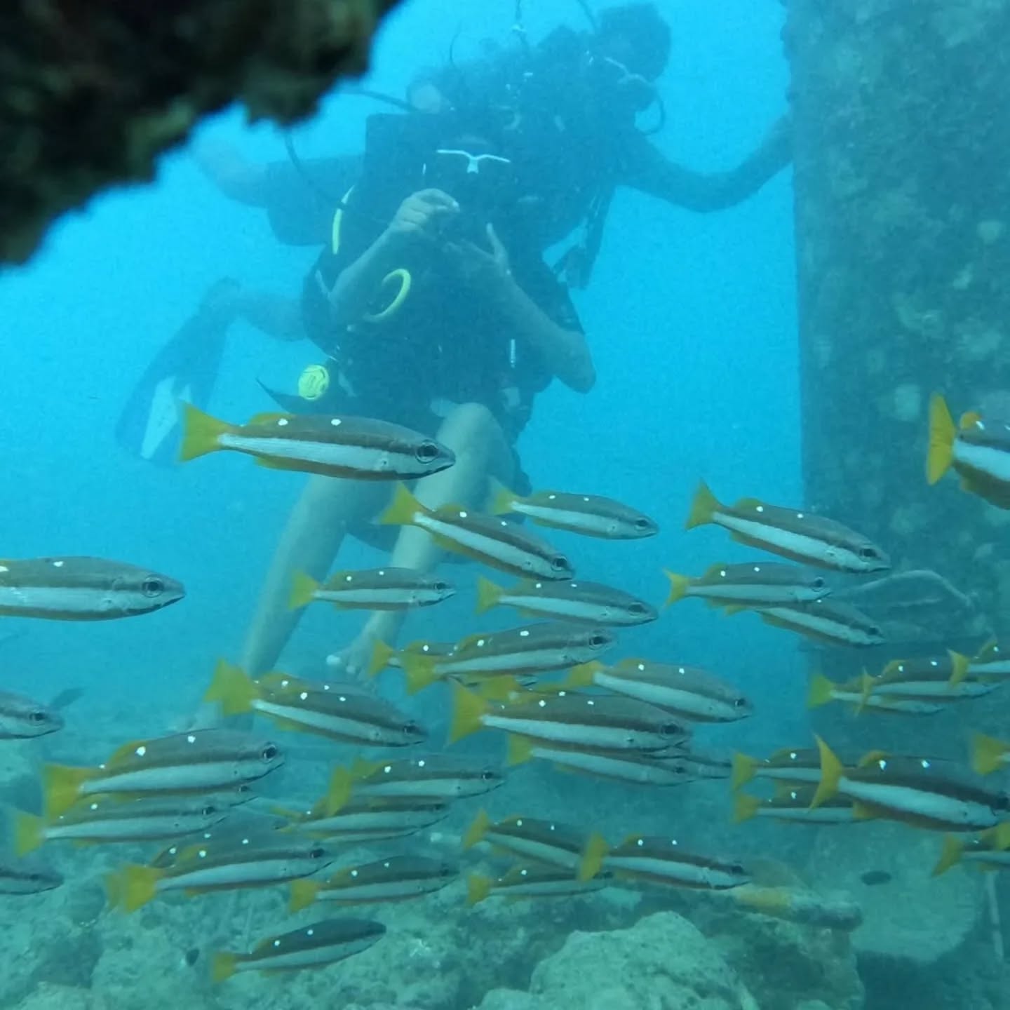 We Go Andaman Tours and Holidays
