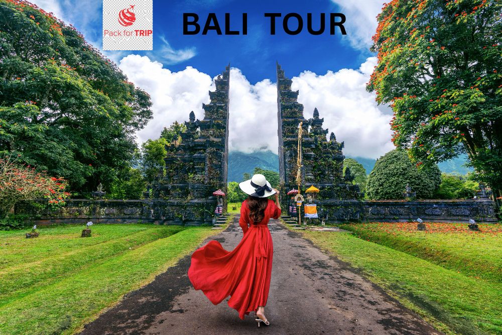 Bali Tour By Pack For TRIP, Bali, Indonesia