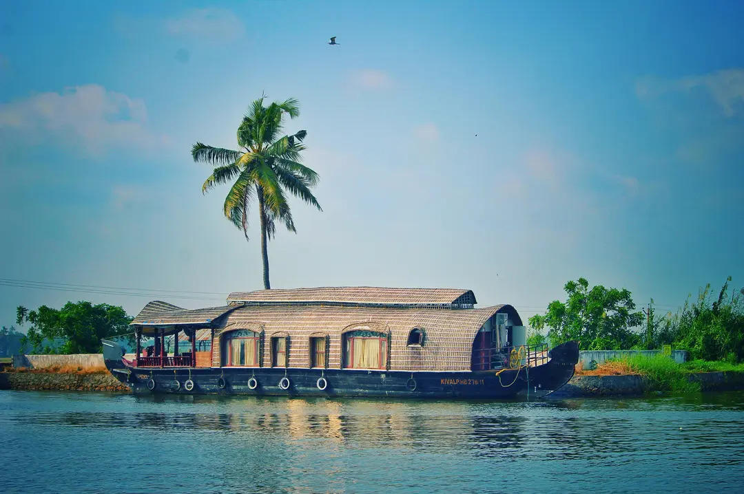 Voyacure, Kochi, India