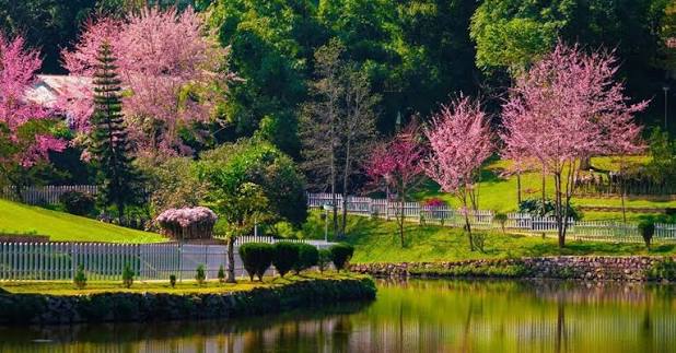 Meghalaya Tour By Navi Tours & Holidays, Shillong, India