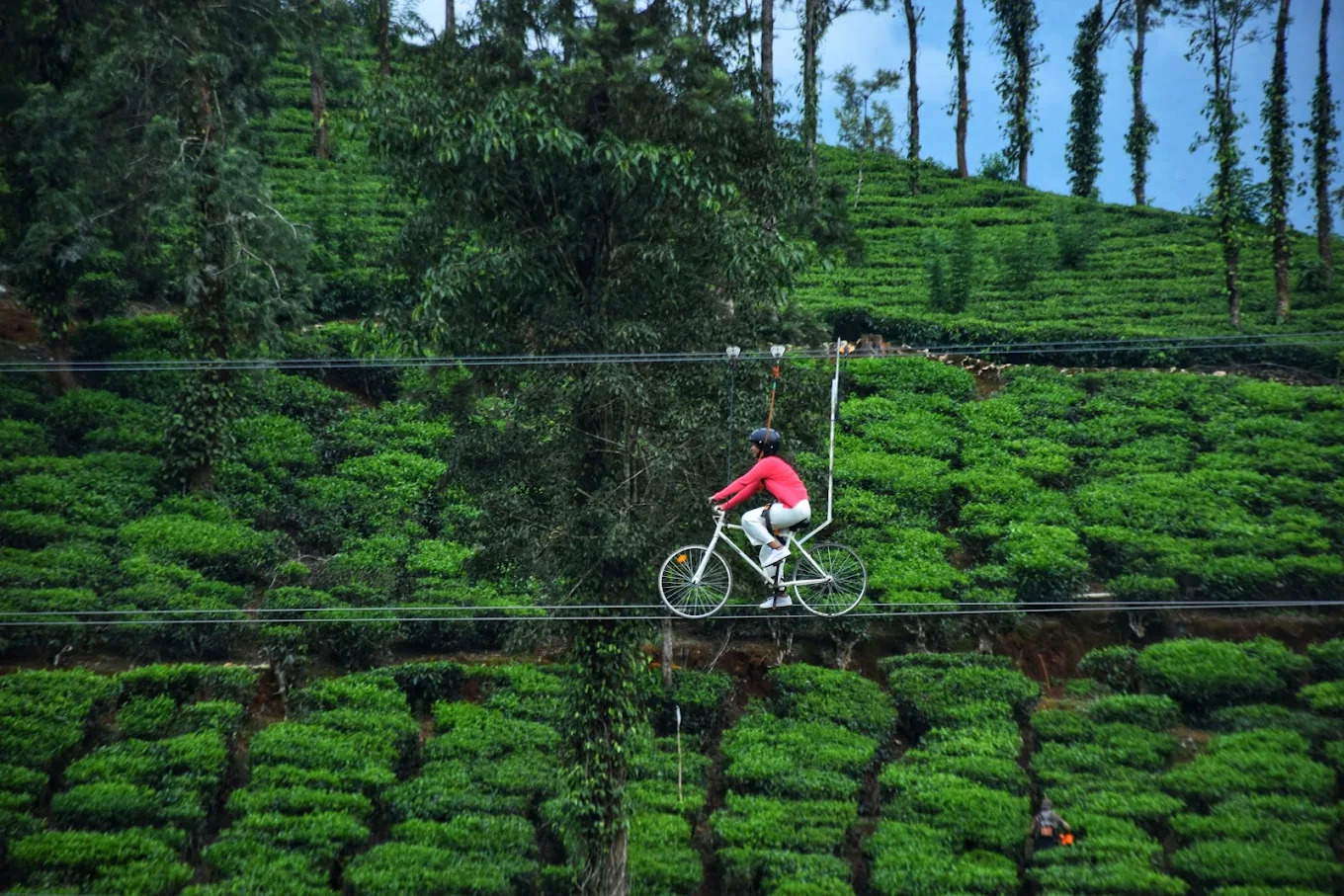 Vythiri Park, Vythiri, India