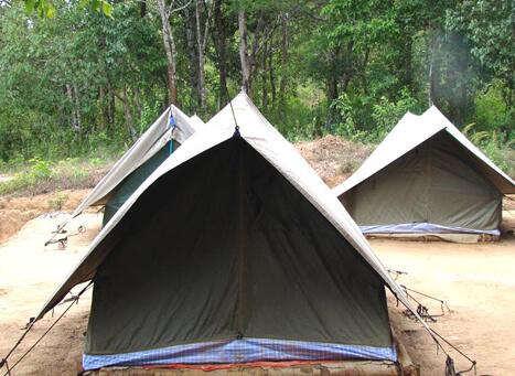 Jungle Camp – Tent Accommodation