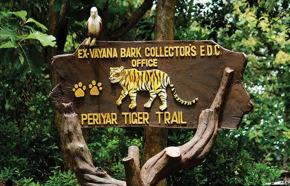 Periyar Tiger Reservre Stay, Kerala, India